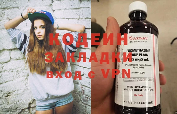метадон Алексин