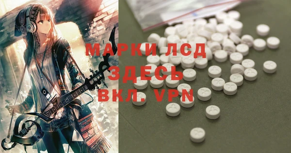 ГАЛЛЮЦИНОГЕННЫЕ ГРИБЫ Алексеевка