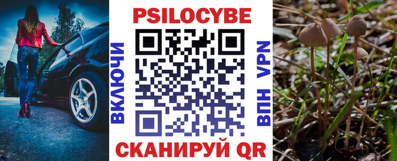 Псилоцибиновые грибы прущие грибы  купить наркотики цена  MEGA как войти  Тайшет 