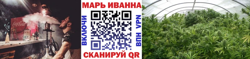 как найти закладки omg рабочий сайт Бошки Шишки SATIVA & INDICA Тайшет